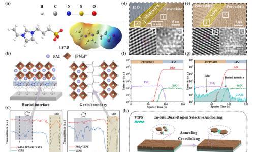 AEM: 原位双区域选择性锚定两性离子凝胶实现高效且机械耐用的柔性钙钛矿太阳能电池
