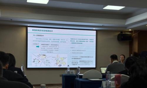 聚焦"源网荷储"新生态: 内蒙古电力集团电能计量公司参与新能源协同发展路径技术交流会