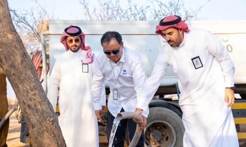 守护沙漠"活化石": 沙特光伏项目为300年古树成功"安家"