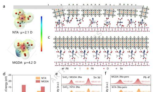 晁凌峰&夏英东&陈永华Nat Commun: 定制界面锚定分子以实现高效稳定钙钛矿太阳能电池