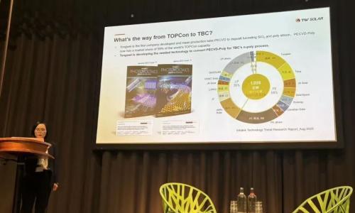 通威受邀参加BackContact Workshop 2025会议