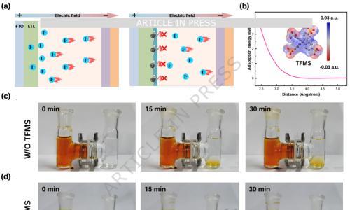 华北电力大学黄浩&李美成Nat Commun: 界面静电斥力抑制碘离子迁移,提升钙钛矿太阳能电池反向偏压稳定性