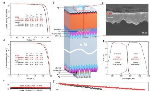 带有立体互补设计的钙钛矿-硅叠层太阳能电池效率达到32.3%