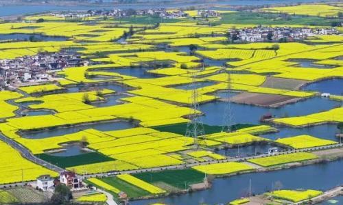 硬核上新!芜湖首个"风光储充"一体化微电网工程投运