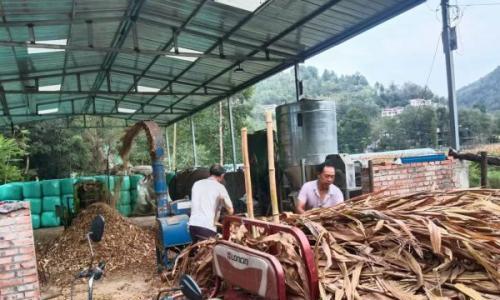 巨亭镇: 从"全域禁烧"到"高值循环" 秸秆综合利用助推和美乡村建设