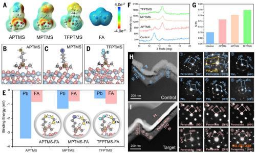 新加坡国立大学侯毅最新Science: 在绒面硅上实现最佳钙钛矿蒸汽分配实现高稳定性叠层太阳能电池