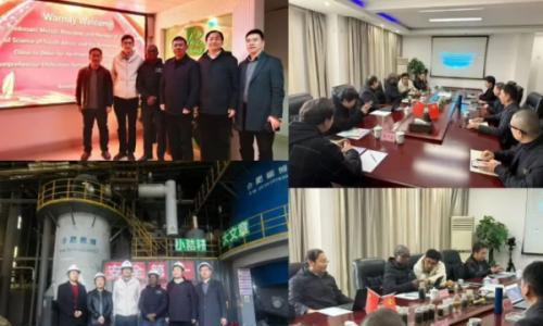 南非科学院院长莅临合肥德博考察,共议生物质气化技术在非洲发展前景