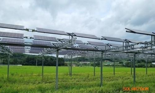 政府推进的务农型太阳能示范事业将在京畿道华城市、安城市首次启动