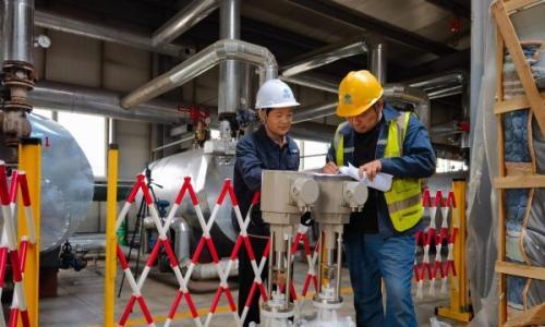 毛乌素沙漠的绿色答卷: 生物质锅炉让沙柳 "变废为宝"