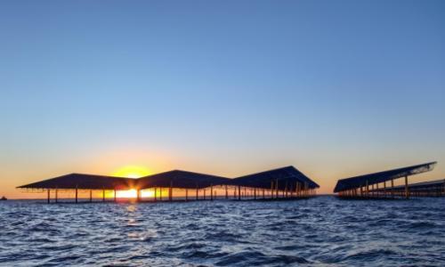 中国河北省昌黎500兆瓦海上光伏试点项目实现首次并网发电