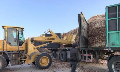 从"废料"到"宝藏"!乌拉特前旗招商引资落地生物质项目 打造绿色经济新标杆