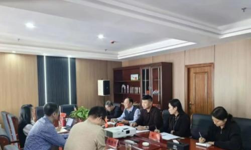 庆阳这片"闲地"要火!四方联手共建"神奇芦竹"产业链