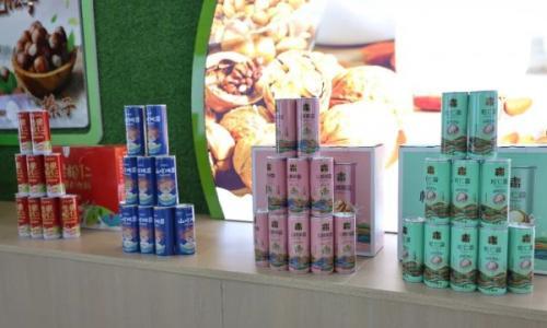 柴河林业局: 生态产业筑根基 多元发展谱新篇