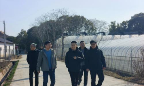 桐乡市市委常委、副市长周炎专题调研凤鸣同奥生物质(秸秆)全产业链建设及碳汇开发进展