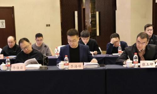 辽水新能朝阳压缩空气储能项目可研报告研讨会顺利召开