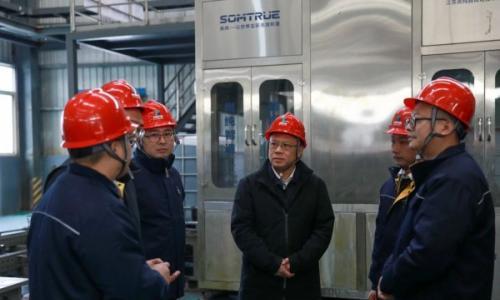 四川发展(控股)公司党委副书记、副董事长、总经理郭勇一行赴川发兴能调研