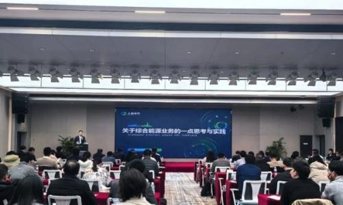技术赋能&middot;场景融合: 上海电气灵储成功举办"促进新型储能技术创新融合与多元场景应用沙龙"