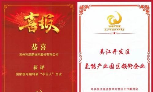 科润荣膺双誉|2025专精特新"小巨人"领航吴江氢能产业新标杆