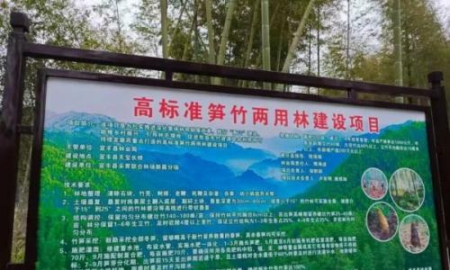 山东省热电设计院赴江西开展生物质实地调研