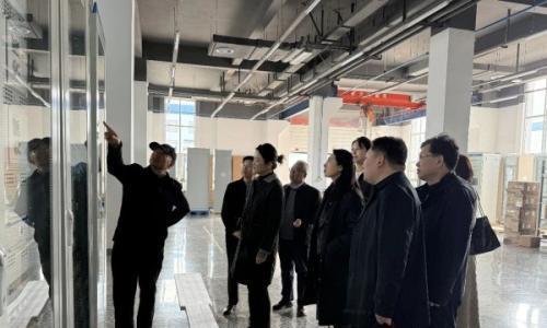 淄博市委统战部、市欧美同学会开展电力及储能产业高质量发展专题调研
