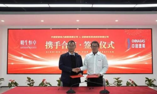 中国燃气与安徽明生电力携手建设新型独立储能电站 助力新型电力系统高质量发展