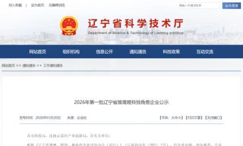 盛京金控资本赋能储能新星强势崛起恒久安泰入选独角兽企业(附全名单)