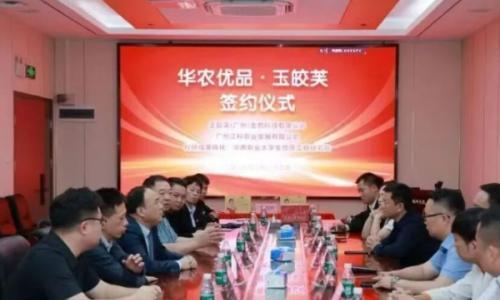江科农业及华农优品与玉皎芙正式开启生物质资源高值化利用深度合作