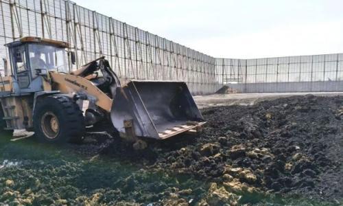 国能庄河公司生物质掺烧开辟绿色转型新路径!