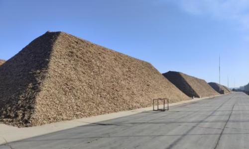 通辽市农牧局考察团莅临杭龙热电调研生物质燃料收储及秸秆综合利用工作