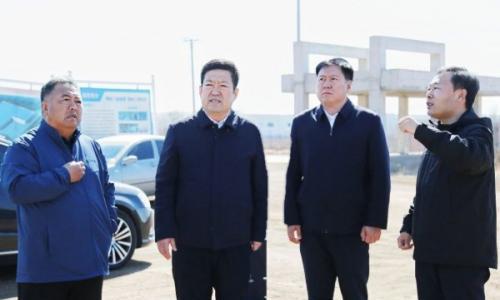 杨春柏到朝阳喀左经济开发区调研喀宸能源混合型独立储能电站项目建设现场