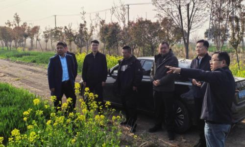 聚焦生物质能源项目!善能生态集团与江苏农垦林业科技有限公司举行合作推进会