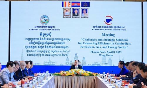 柬埔寨政府受促免除太阳能容量费 助厂商应对油价上升压力