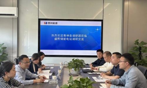 四川省电力企业协会组织青神县相关单位赴四川安岳100MW/200MWh新型储能示范项目调研交流