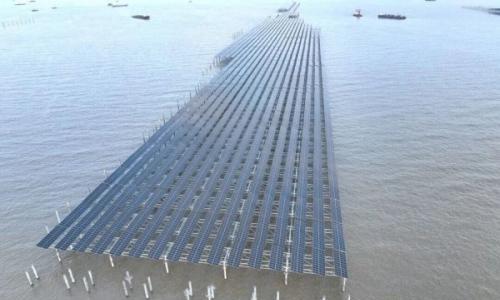 "光核"联动!国内最大海上光伏项目再传捷报