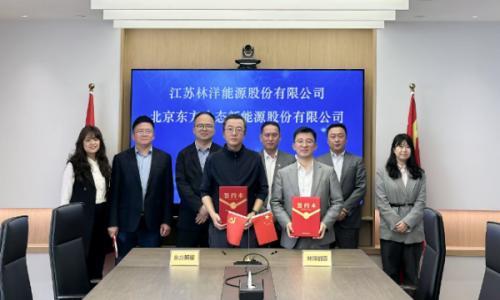 林洋能源与东方新能达成战略合作: 创新储能模式,深耕"风光储"协同