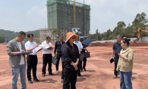 双柏县县委副书记、县长杨梦婷调研生物质颗粒燃料加工建设项目