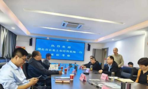 鸿丁集团携手兰多科技共赴松滋市考察生物质新能源产业发展