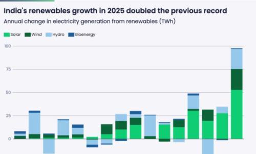 2025年,创纪录的太阳能和风力激增导致印度化石发电量下降3.3%。
