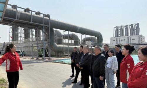 山西国耀新能源集团考察瑞恒茂集团 共商芦竹种植与绿色甲醇产业合作