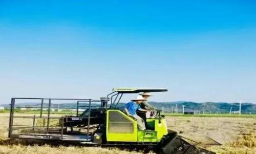 江西遂川落地首笔秸秆资源化利用"生物多样性+转型金融"贷款