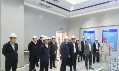 国家能源局电力司赴烟台龙源龙山熔盐储能示范项目调研