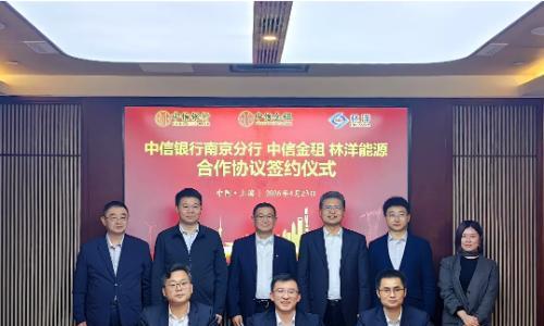 产融携手 共筑储能新生态 | 林洋能源与中信金租、中信银行南京分行达成战略合作