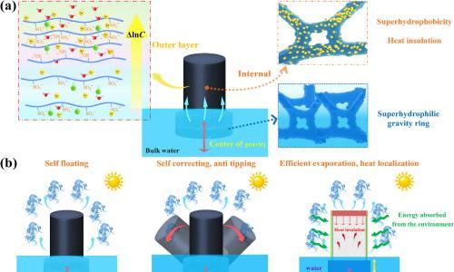 纺织科学与工程学院龙柱教授团队Journal of Energy Chemistry: 离子梯度驱动的太阳能蒸发器实现了从海水高效生产淡水和热电联产