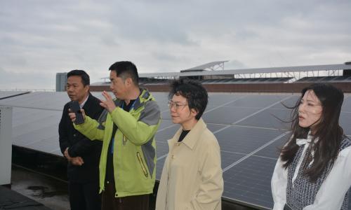 湖南省可再生能源学会专家来汨罗调研指导新能源建设