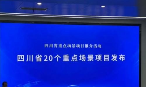 四川能源发展集团"源网荷储"全域协同场景成功入选四川省20个重点场景项目