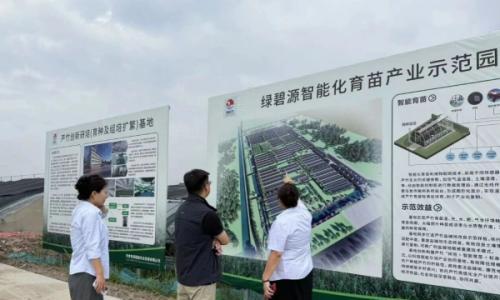 湖北省监利市驻华北招商专班领导考察瑞恒茂集团 共探芦竹绿色零碳循环经济产业合作