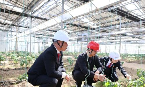 6.86亿债务化解背后: 一座光伏电站的司法重生之路