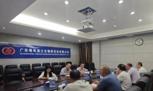 从桉树皮到绿电,探寻"小机组、大文章"