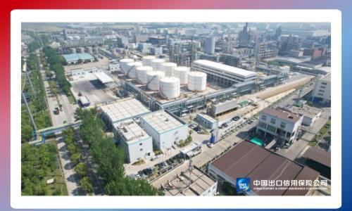 "地沟油"变"清洁油"!中国信保出具首张生物航空煤油出口信用保险保单