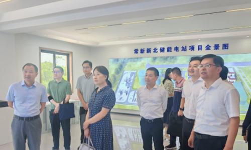 国家统计局调研市新能源集团电网侧储能项目
